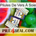 Pilules De Vers À Soie 12